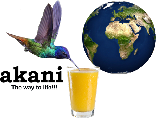 Akani Global Group